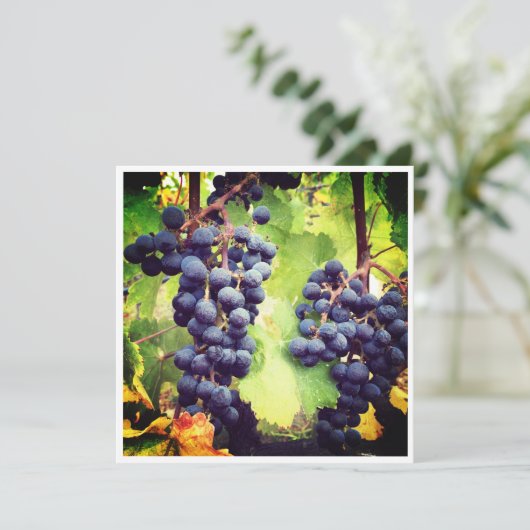 Grapevine Note Kaart (Staand voorkant)
