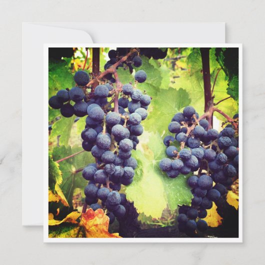 Grapevine Note Kaart (Voorkant)