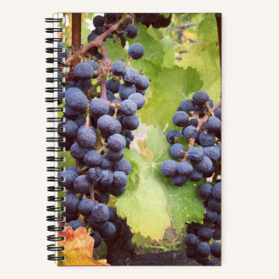 Grapevine Notitieboek (hard Hoesje)