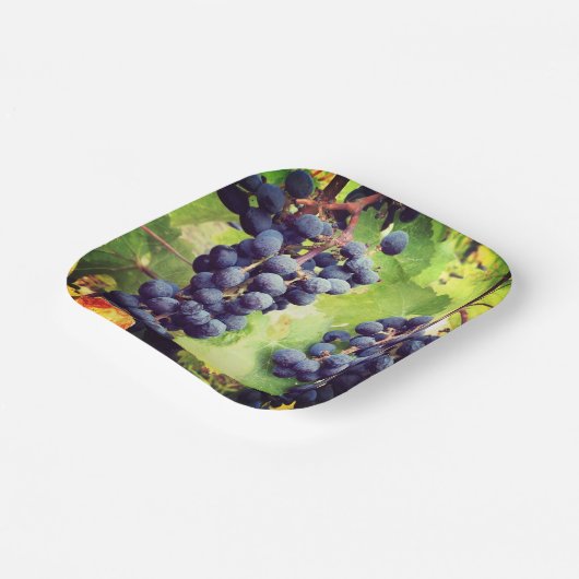 Grapevine Paper Bord (Gebogen)