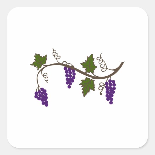 GRAPEVINE VIERKANTE STICKER (Voorkant)