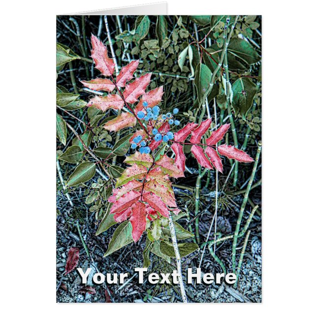 Graphe de l'Oregon (Devant)