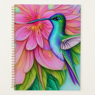 Graphique de colibri