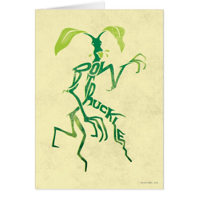Graphique de typographie BOWTRUCKLE™ PICKETT™ (Devant)