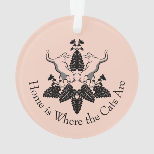 Graphique en silhouette de chats et de chats (dos)