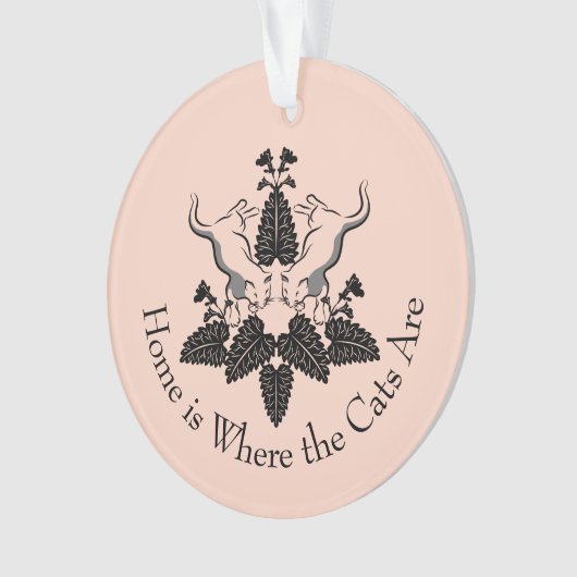 Graphique en silhouette de chats et de chats (devant)