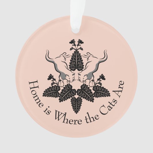 Graphique en silhouette de chats et de chats (devant)