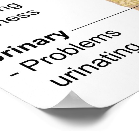 Graphique Signes communs + Symptômes Poster Fibrom (Coin)