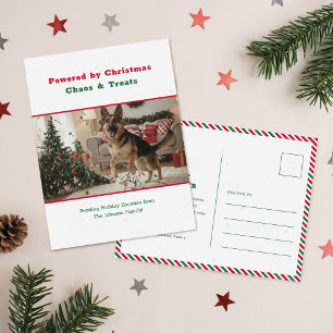 Grapige Grappige Huisdier Hond Foto Kerst Ansichtk Feestdagenkaart