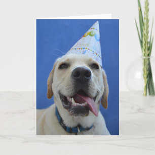 Grapjige Dog Birthday Card Kaart