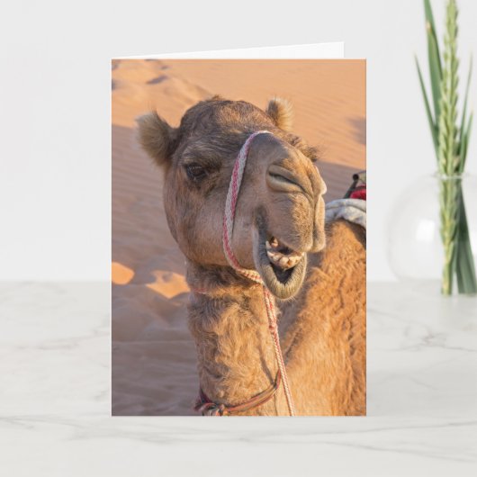 Grapjny Camel Kaart (Voorkant)