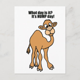Grapny Hump Day Camel Art Briefkaart