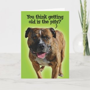 Grapny Pit Bull Birthday Card Kaart