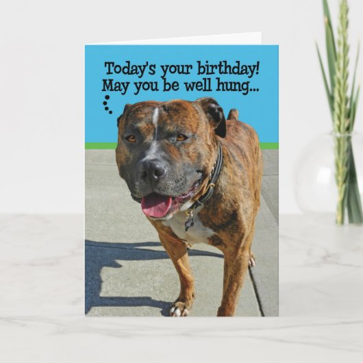 Grapny Pit Bull Birthday Card Kaart (Voorkant)