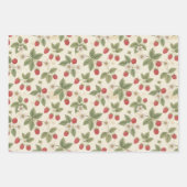 Grappe de framboises avec feuilles et fleurs (Devant 3)