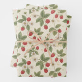 Grappe de framboises avec feuilles et fleurs (En situation)