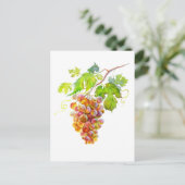 Grappe de raisin à l'aquarelle. Carte postale d'ar (Debout devant)