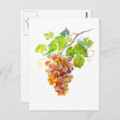 Grappe de raisin à l'aquarelle. Carte postale d'ar (Devant / Derrière)