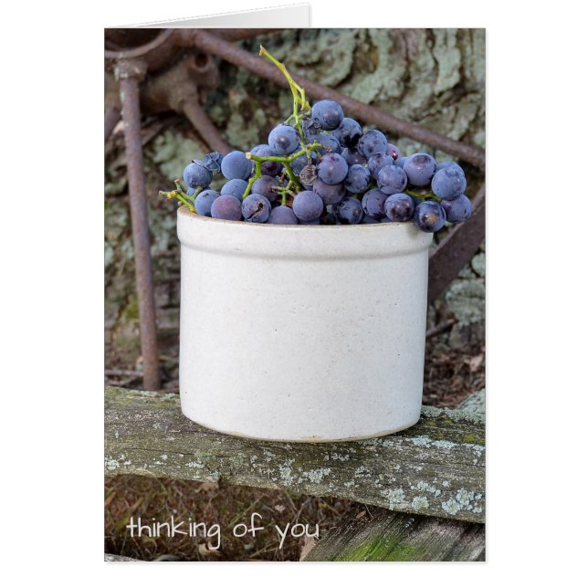 grappe de raisin pourpre en grès vieil écaille (Devant)