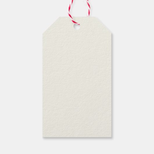 Grappig Aangepaste Gezicht Swap Kerstman Kerstteks Cadeaulabel (Achterkant)
