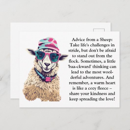 Grappig advies van een schaap briefkaart (Voorkant / Achterkant)