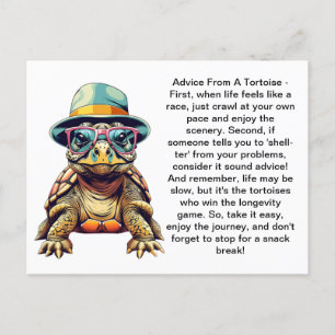 Grappig advies van een schildpad briefkaart