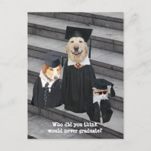 Grappig Afstuderen  Aankondiging Postcar