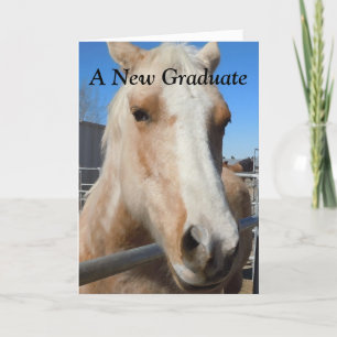 Grappig Afstuderen Afstuderen Gefeliciteerd Paard Kaart
