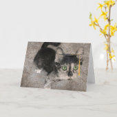 Grappig Afstuderen, Wide Eyed Kitten Kaart (Gele Bloem)