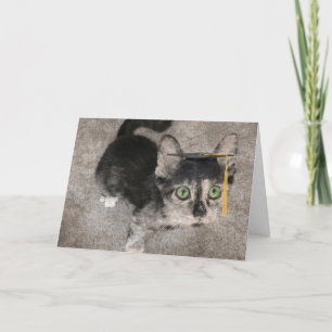 Grappig Afstuderen, Wide Eyed Kitten Kaart