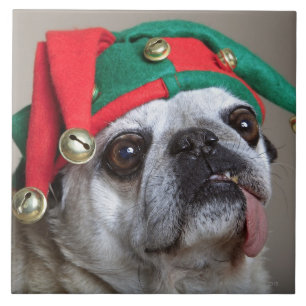 Grappig als je tong uitsteekt tegeltje