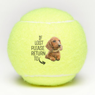 Grappig als verloren Terug naar Hond Foto Tennisballen