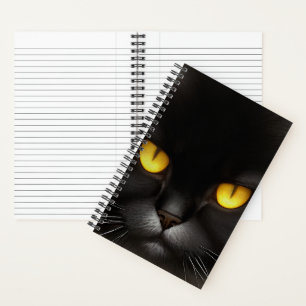 Grappig Angry Fluffy Black Perzische Kitty Cat Fac Notitieboek