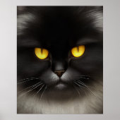 Grappig Angry Fluffy Black Perzische Kitty Cat Fac Poster (Voorkant)