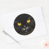 Grappig Angry Fluffy Black Perzische Kitty Cat Fac Ronde Sticker (Envelop)