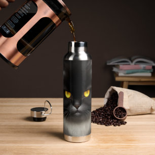 Grappig Angry Fluffy Black Perzische Kitty Cat Fac Waterfles