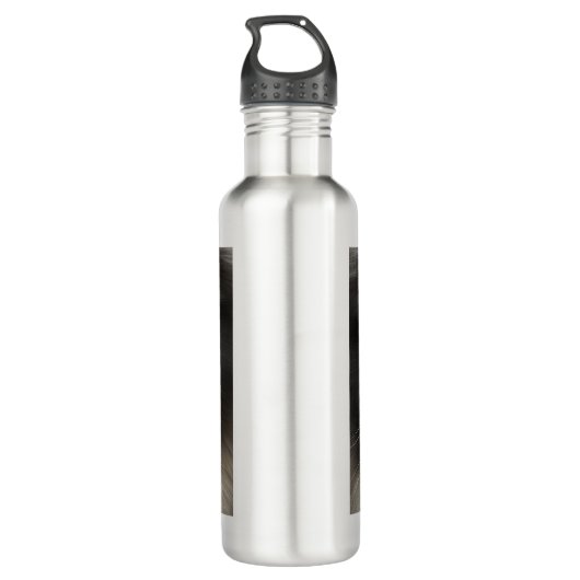 Grappig Angry Fluffy Black Perzische Kitty Cat Fac Waterfles (Achterkant)