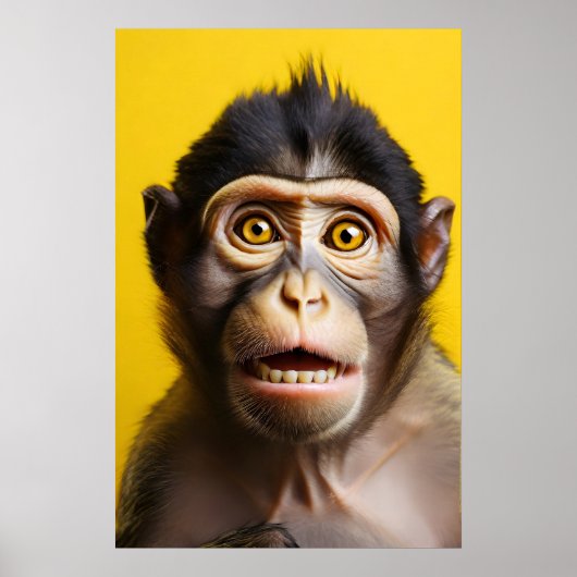 Grappig apenportret poster (Voorkant)