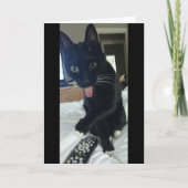grappig Bedankt kaart kat verbergt afstandsbedieni (Voorkant)