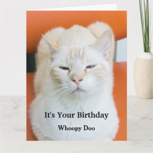 Grappig Beledigen Sarcastische Kat Verjaardag Kaar Kaart