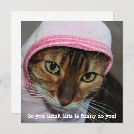 Grappig Bengaal Cat, "Dus je denkt dat dit grappig Feestdagenkaart (Voorkant / Achterkant)