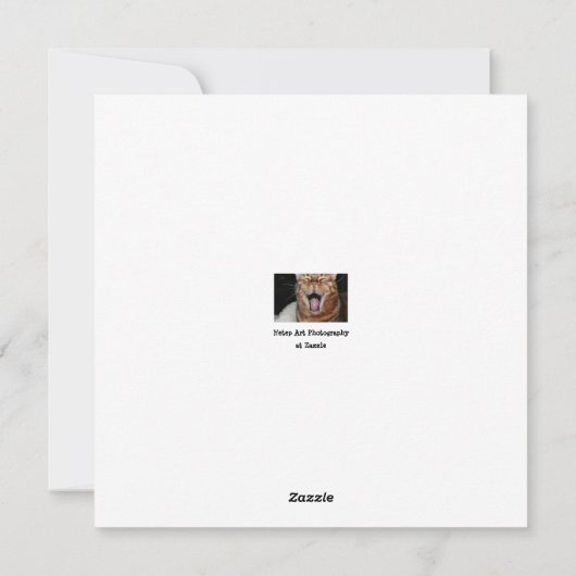 Grappig Bengaal Cat, "Dus je denkt dat dit grappig Feestdagenkaart (Achterkant)