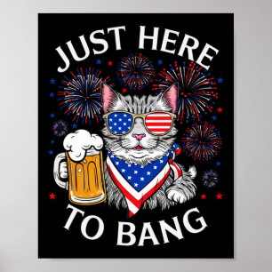 Grappig bier 4 juli kat liefhebber gewoon hier om  poster