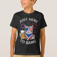 Grappig bier 4 juli kat liefhebber gewoon hier om
