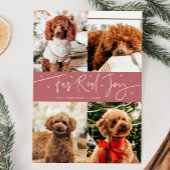 Grappig Bont Echte Joy Hond Foto Roze Kerst Feestdagenkaart