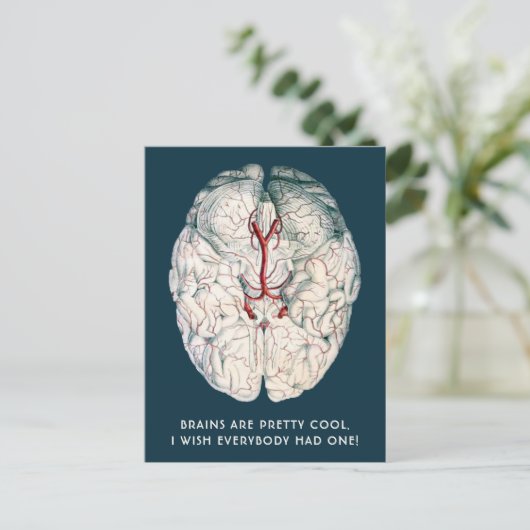 Grappig  brein "Ik wou dat iedereen er een had" Briefkaart (Staand voorkant)