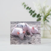 Grappig briefkaart (Staand voorkant)