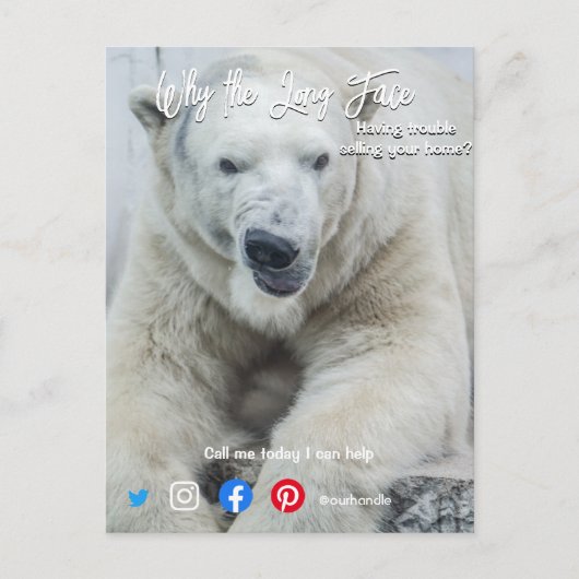 grappig briefkaart lang wit beer (Voorkant)