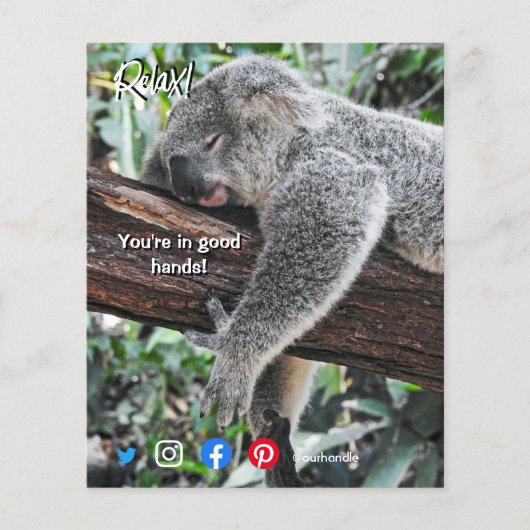 grappig briefkaart ontspannen koala flyer (Voorkant)