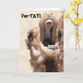 Grappig Camel Birthday, Partay, ga wild! Kaart (Gele Bloem)